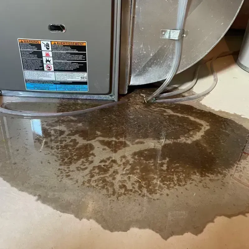 Appliance Leak Cleanup in Manito, IL